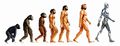 Human-evolution.jpg